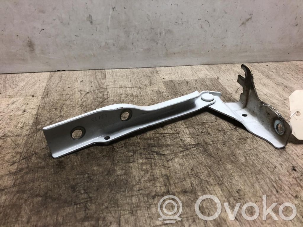 Volkswagen Polo V 6R Cerniere del vano motore/cofano