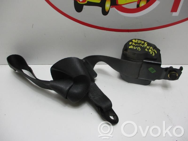 Cinturón delantero   91157030,91157030
