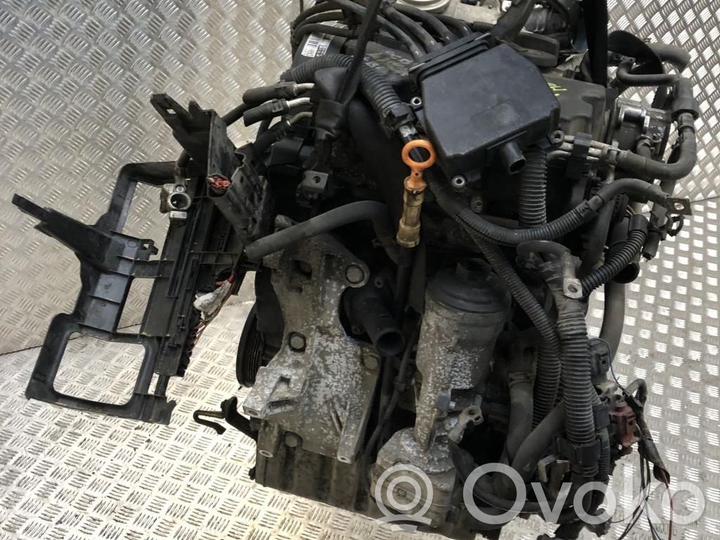 Motor