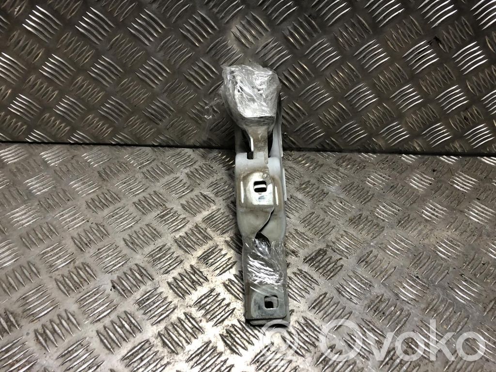 Citroen C3 Engine bonnet/hood hinges 
