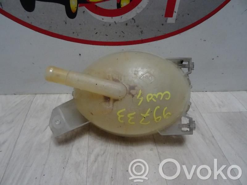 Renault Clio IV Serbatoio di compensazione del liquido refrigerante/vaschetta