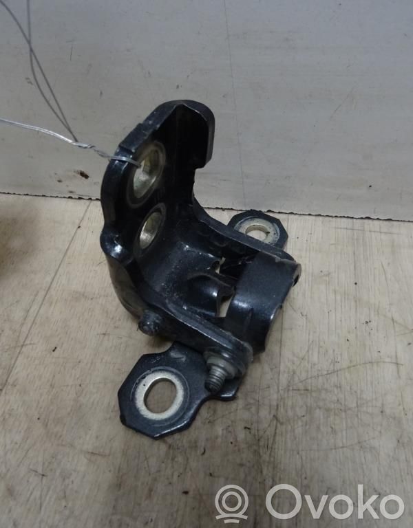 Renault Laguna III Front door hinge set 