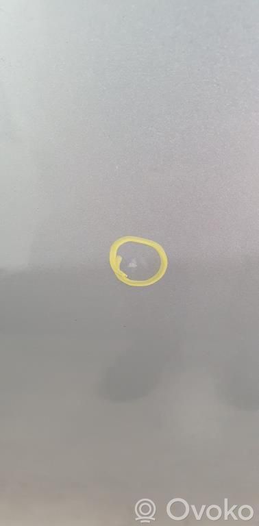 Suzuki Splash Galinės durys 