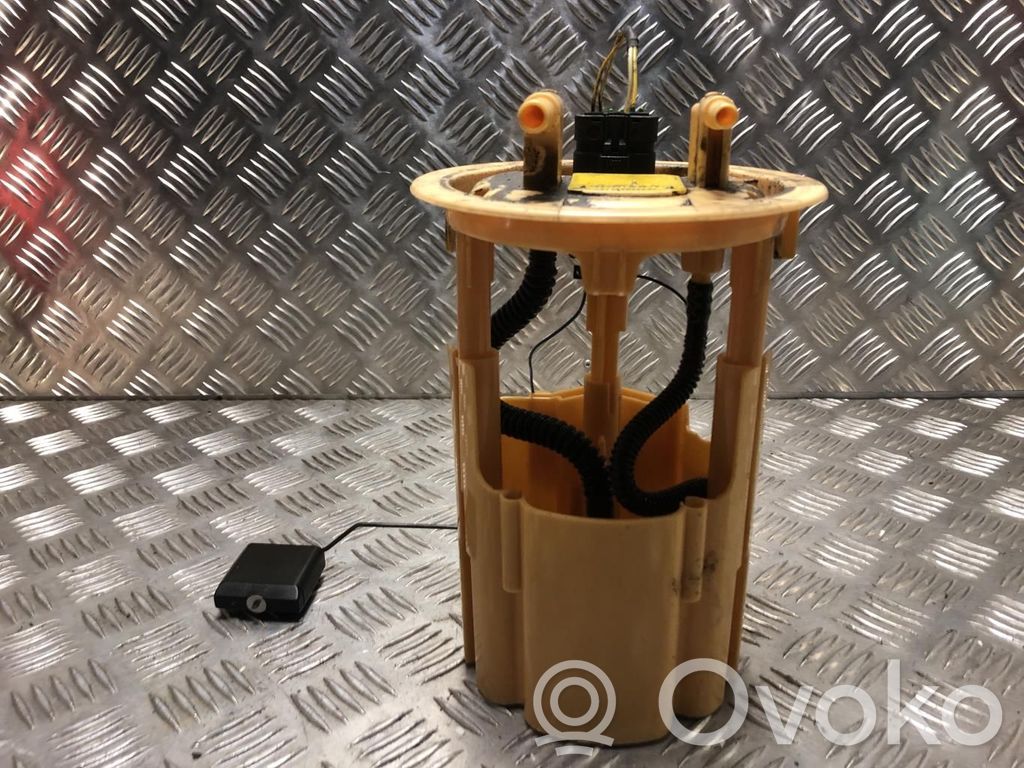Peugeot 1007 In-tank fuel pump 