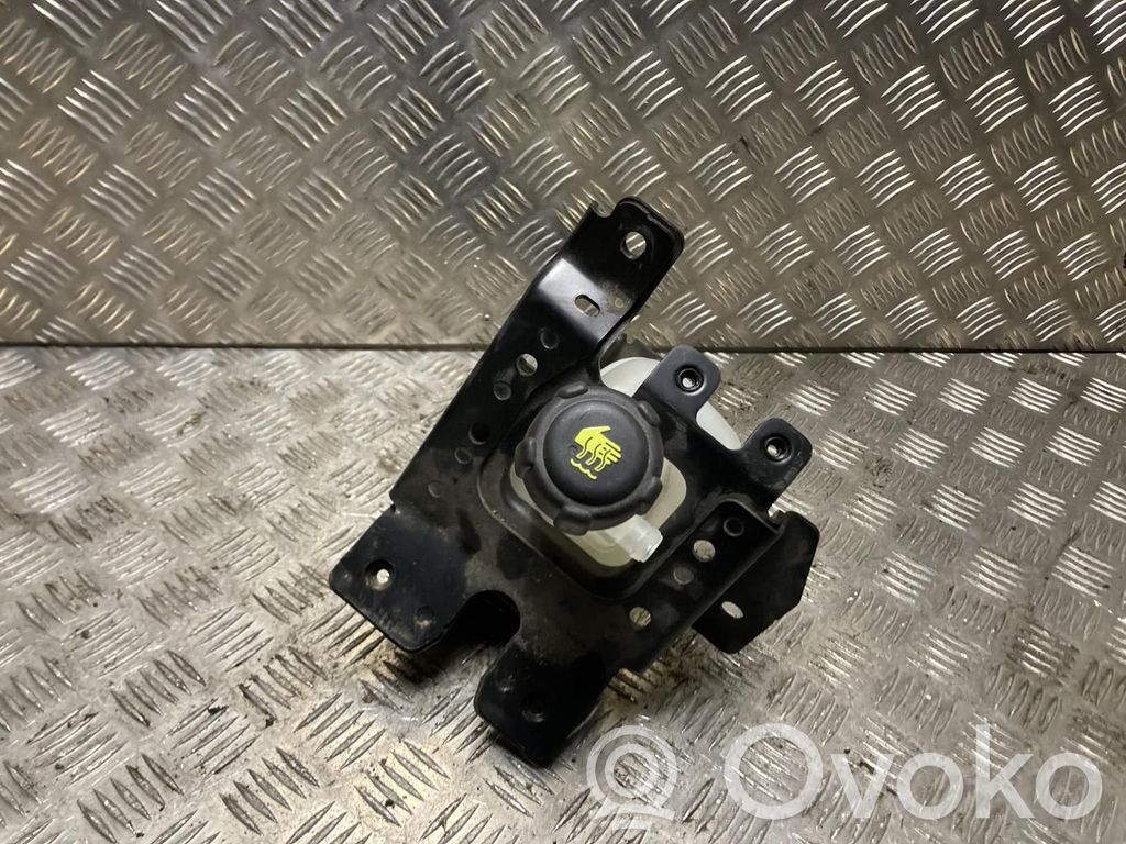 Renault Captur II Vas expansiune/rezervor lichid de răcire 