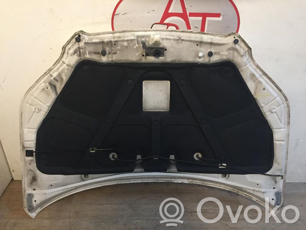 Vano motore/cofano   95164301,95164301