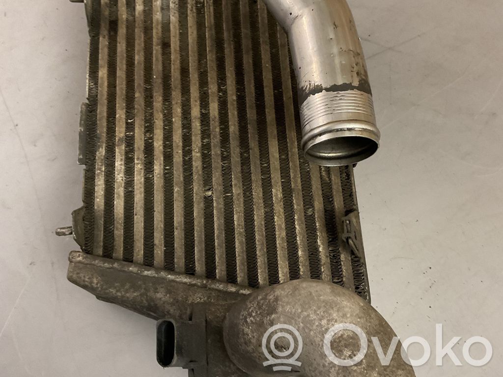 Audi A8 S8 D3 4E Interkūlerio radiatorius 