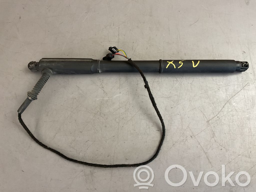 Tailgate/trunk strut/damper   7294587,777222