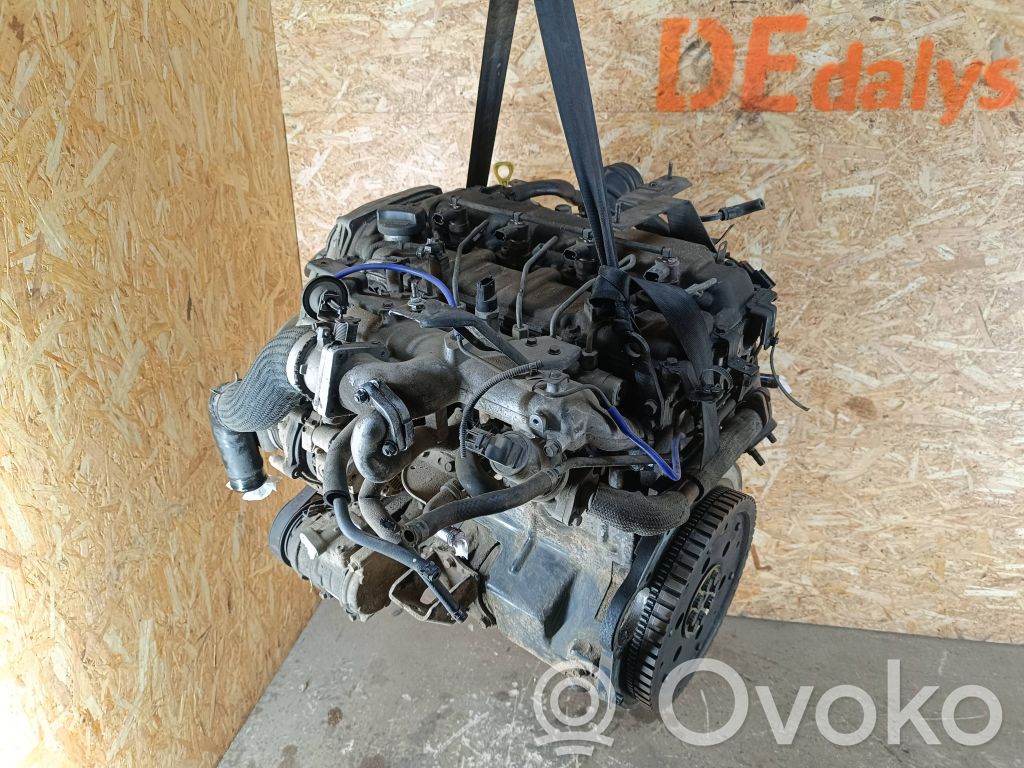 Motor   D4CB