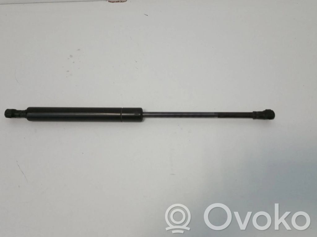 Bagāžnieka amortizators   0660N