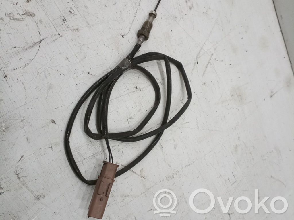 Alarm movement detector/sensor   9687467980