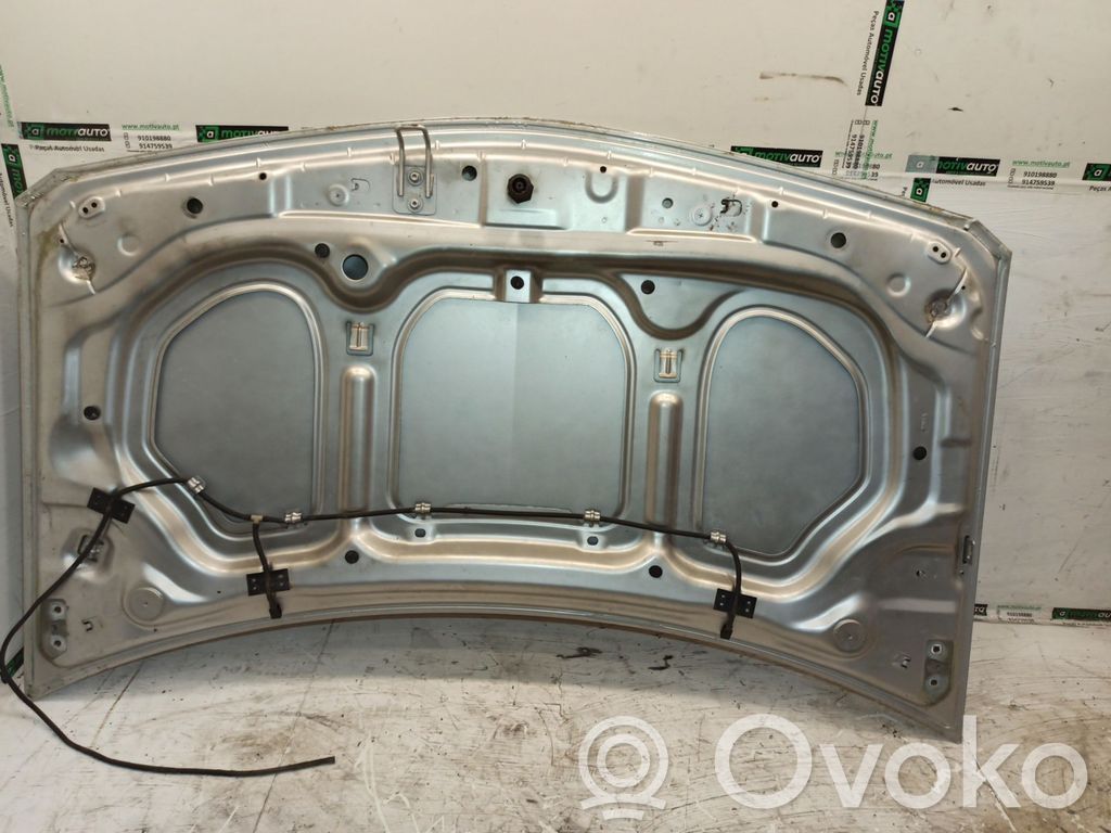 Motorhaube   7703074596