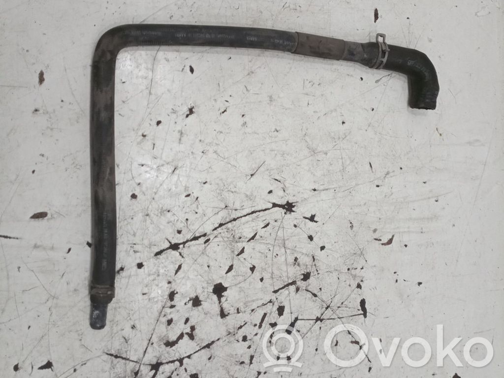 Ford Focus Aušinimo vamzdelis (-iai)/ žarna (-os) 