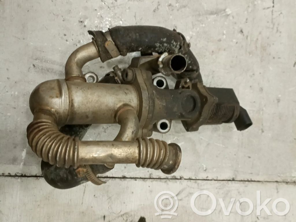 EGR vožtuvas   55487051
