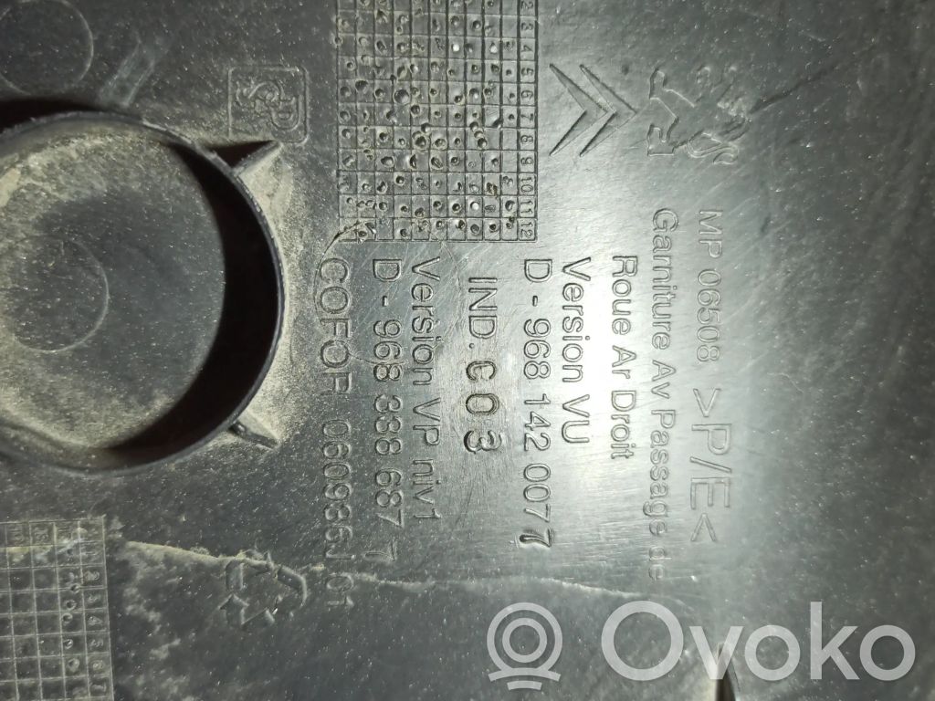 Puerta del maletero/compartimento de carga   9681420077,9683386877
