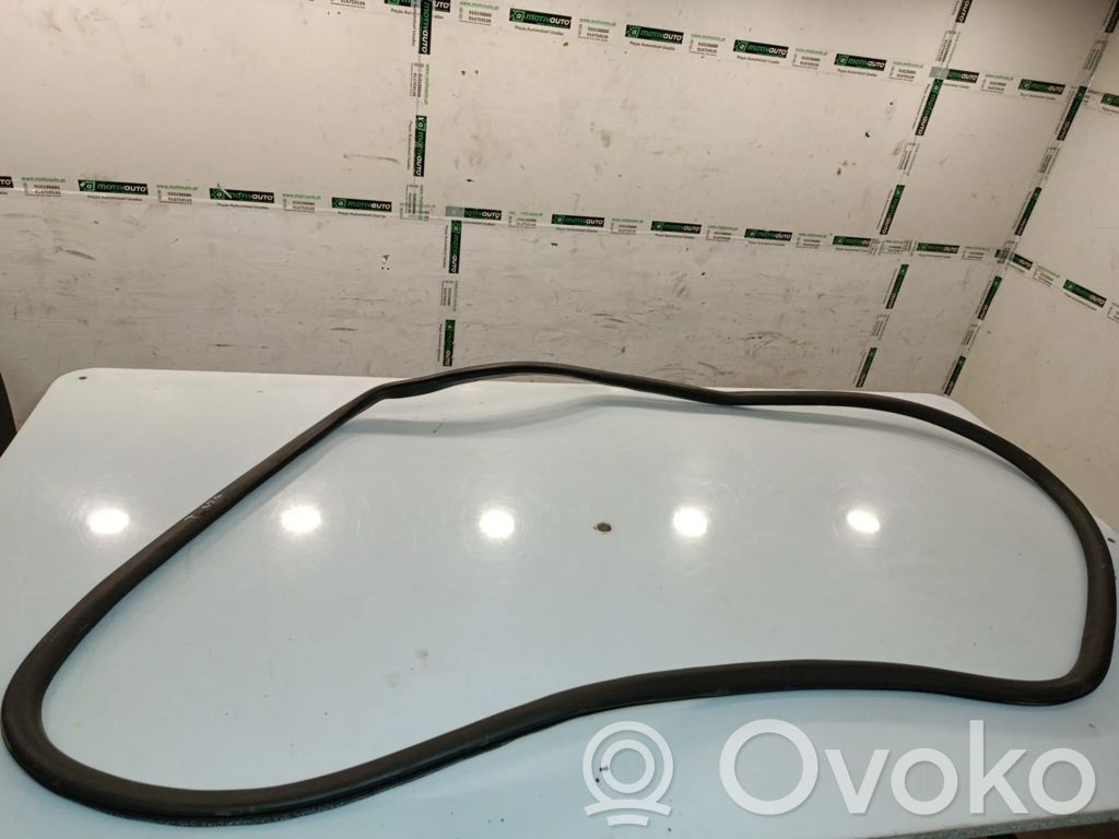 Audi A4 S4 B6 8E 8H Drzwi tylne 