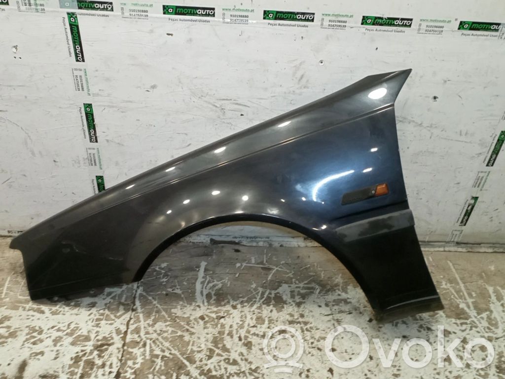 Fender