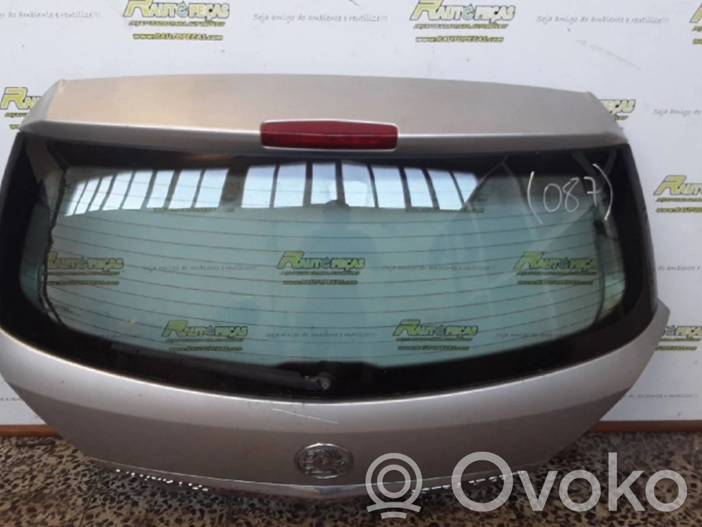 Tailgate/trunk/boot lid   SEM