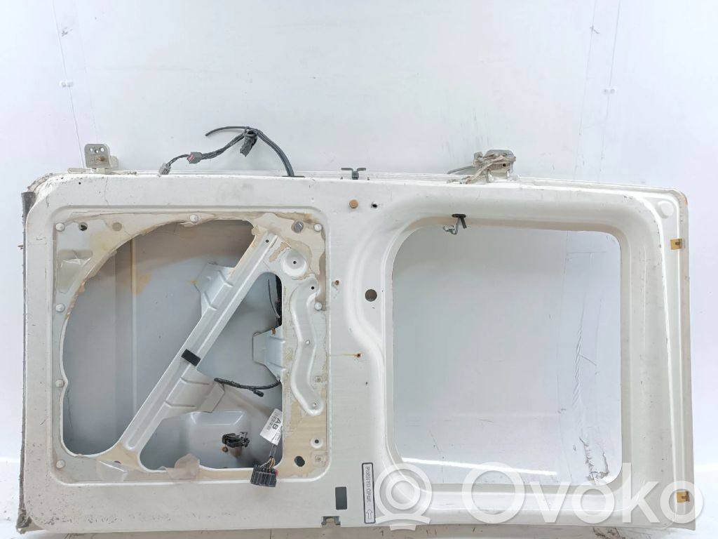 Ford Transit Galinis dangtis (bagažinės) 