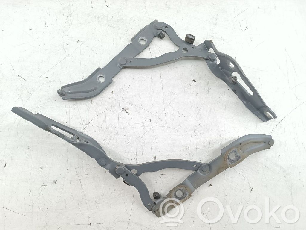 Scharnier Motorhaube   706062809,706062709,DAMALA