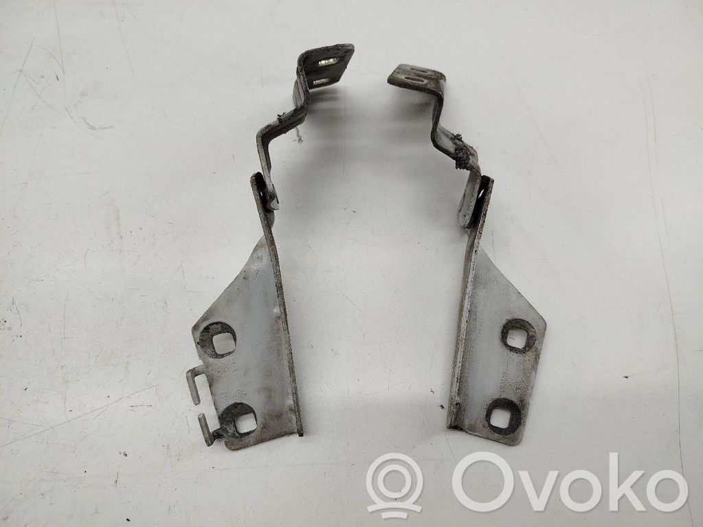 Renault Megane II Cerniere del vano motore/cofano 