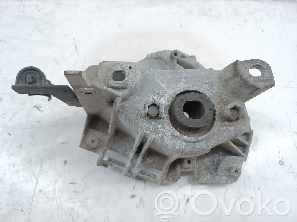 Dzinēja spilvens   430825