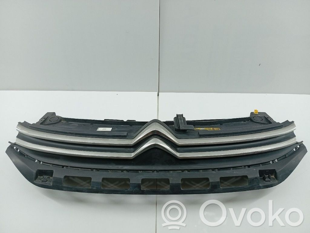 Kühlergrill   9812063477