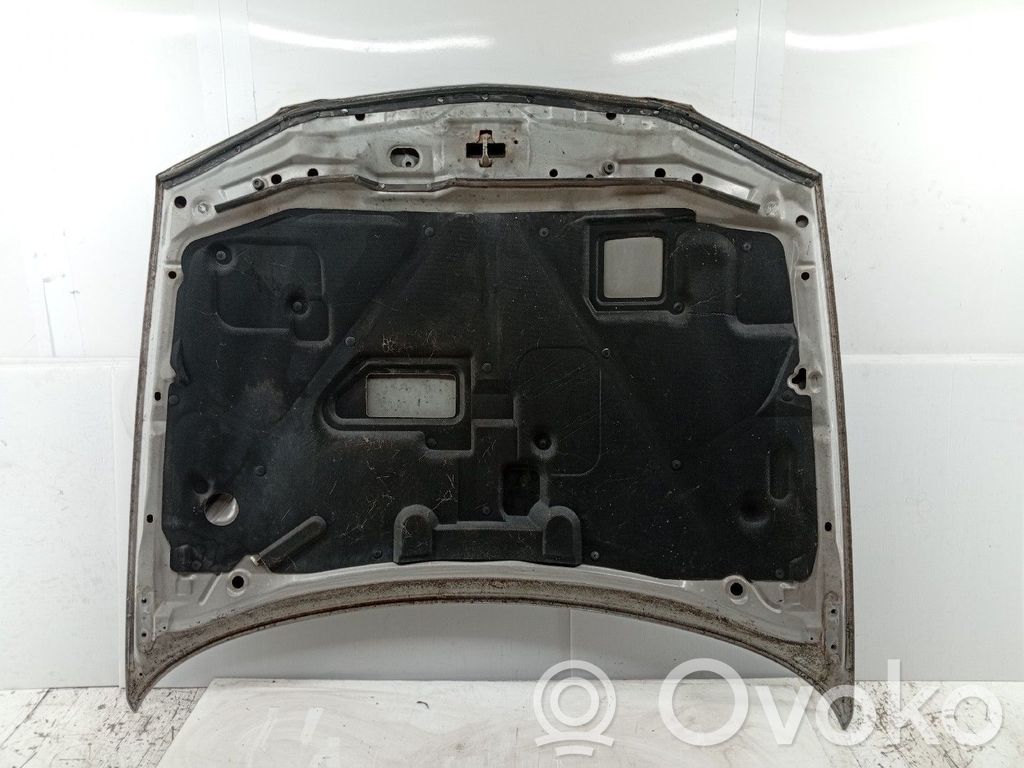 Engine bonnet/hood