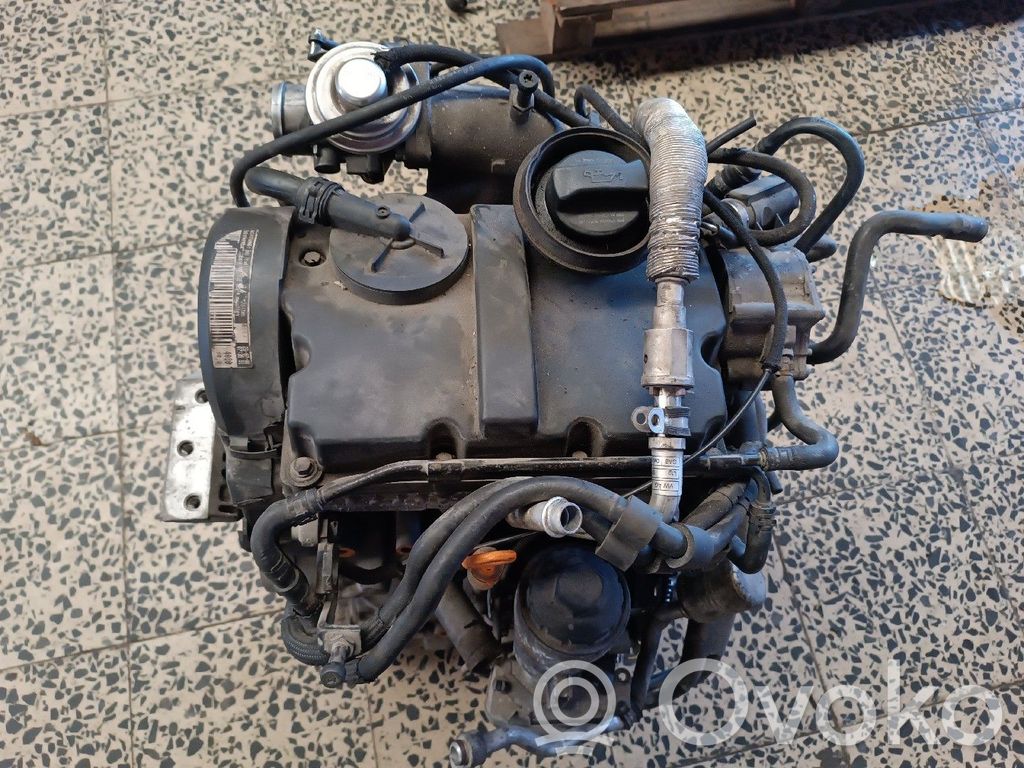 Motor   AMF