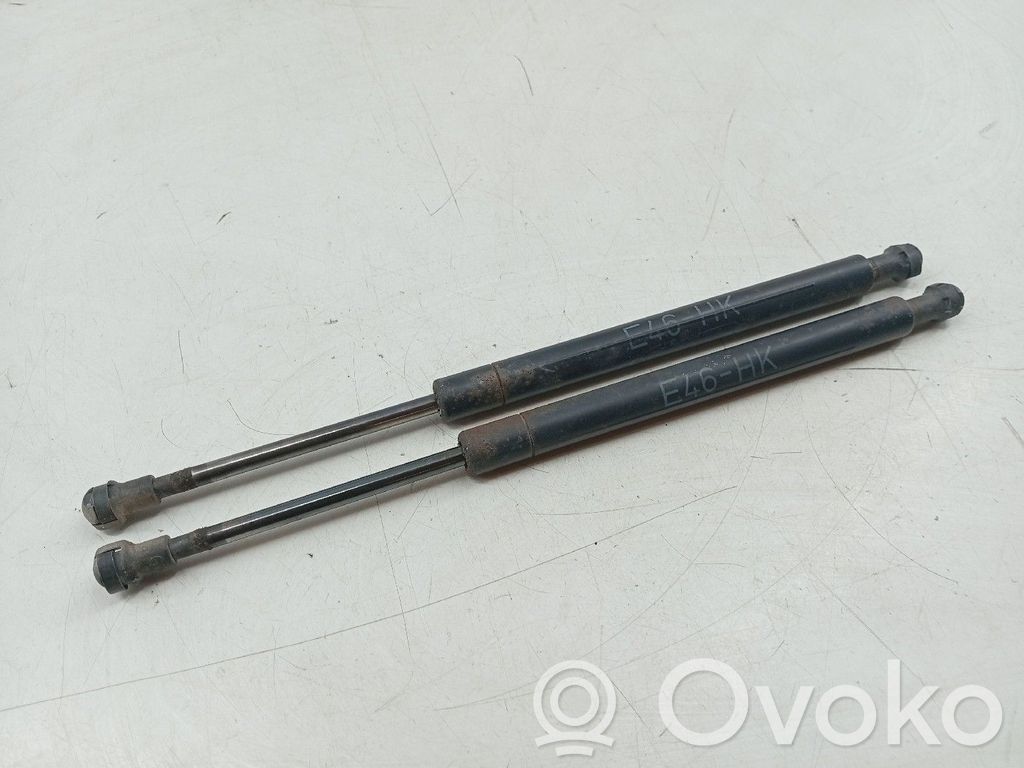 Amortizatorius galinio dangčio   2958QD,51244502963