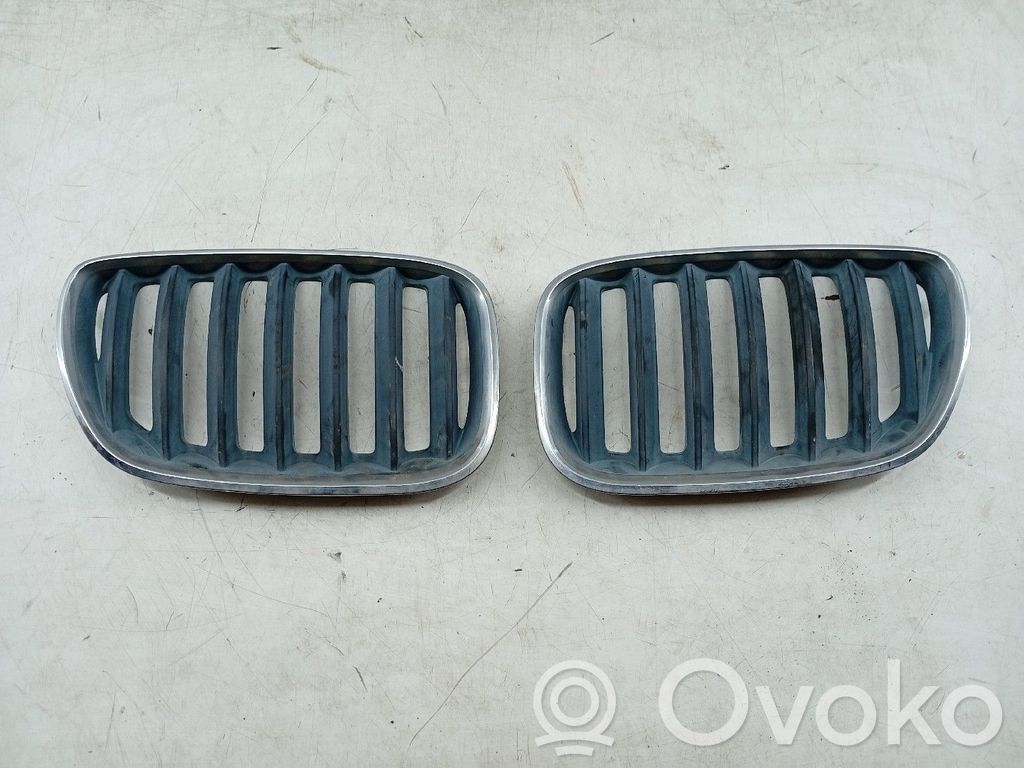 Front grill   51137113737