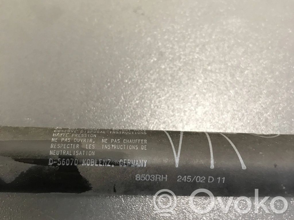 BMW 7 E65 E66 Ammortizzatore portellone anteriore/cofano 