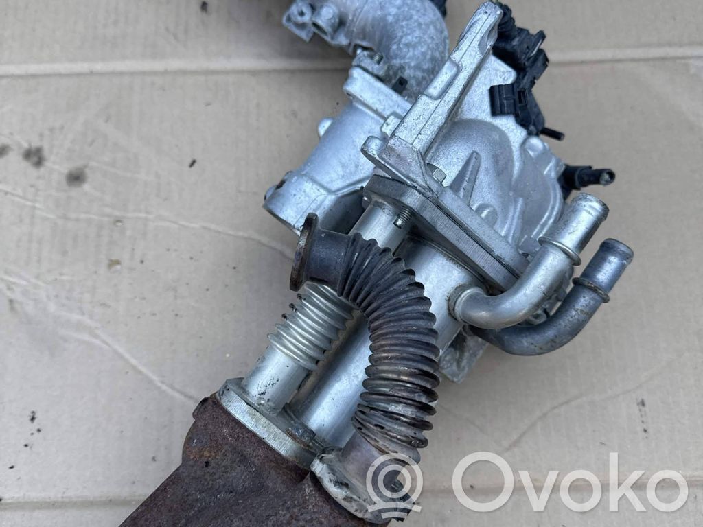 Renault Megane III EGR aušintuvas 
