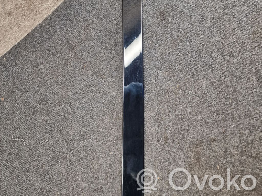 BMW X3 G01 Rear door glass trim molding 