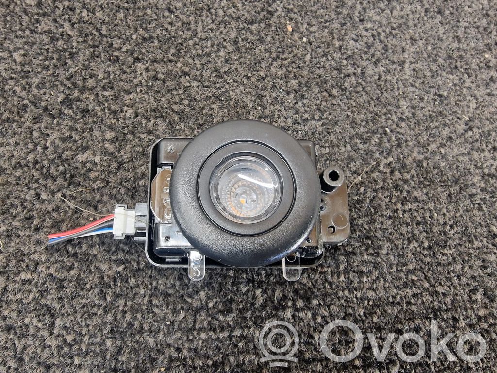 Tesla Model S Luz del asiento trasero 
