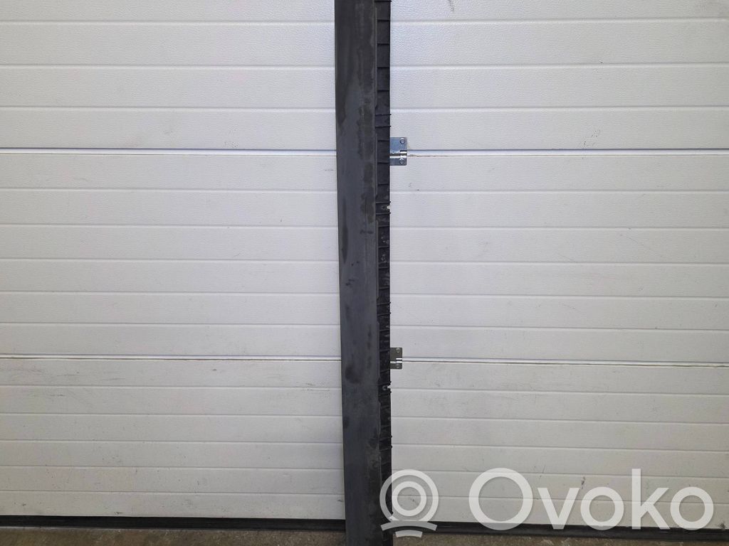 Tesla Model Y Slenkstis 
