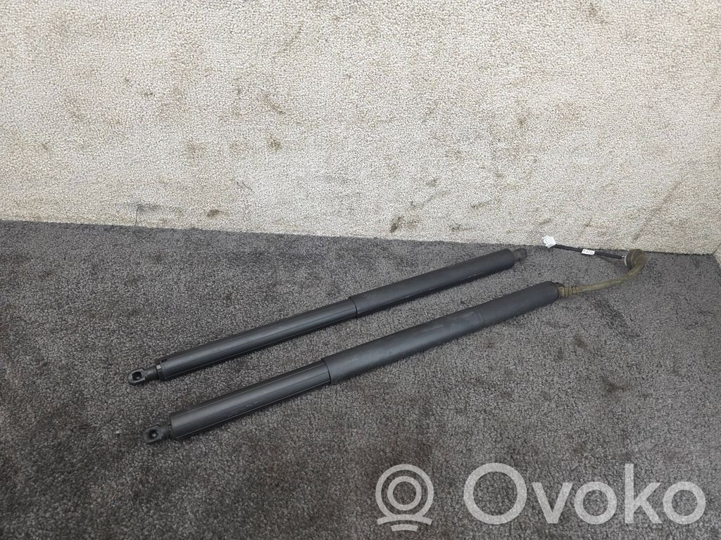Tesla Model Y Tailgate/trunk strut/damper 