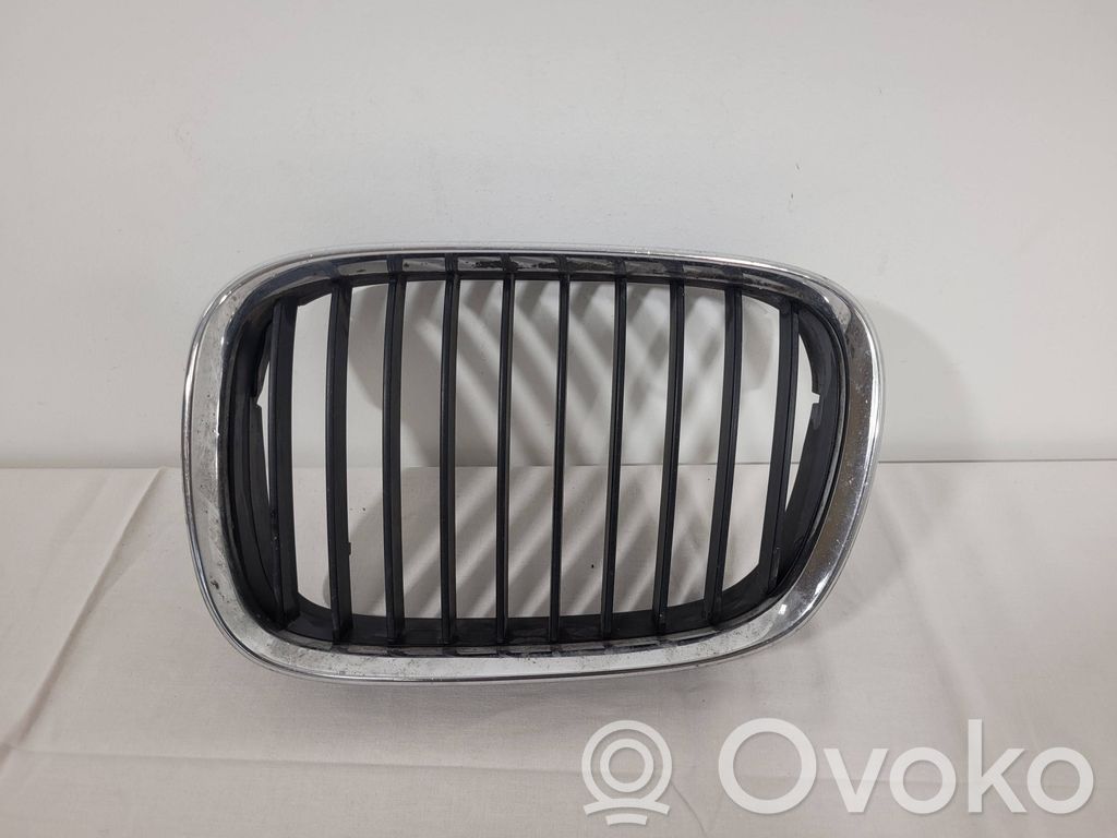 Front grill   8159311