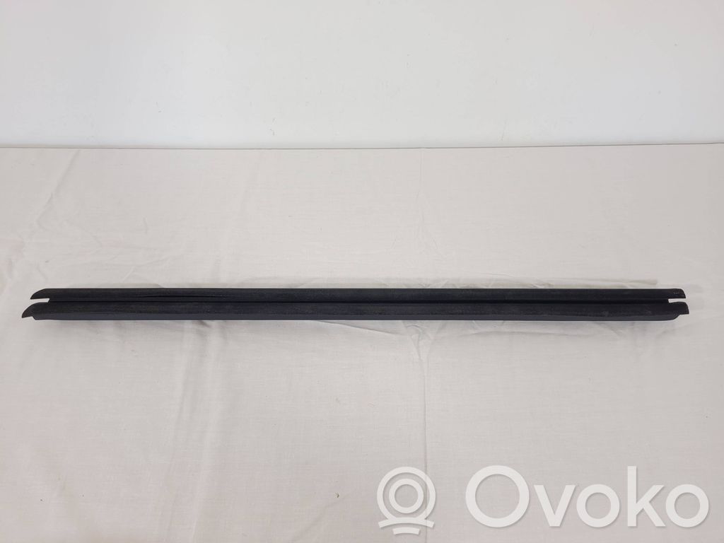 BMW 1 F40 Priekinė sandarinimo guma (ant durų) 
