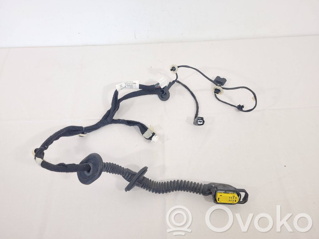 Cableado de puerta trasera   241278113R,0A0000