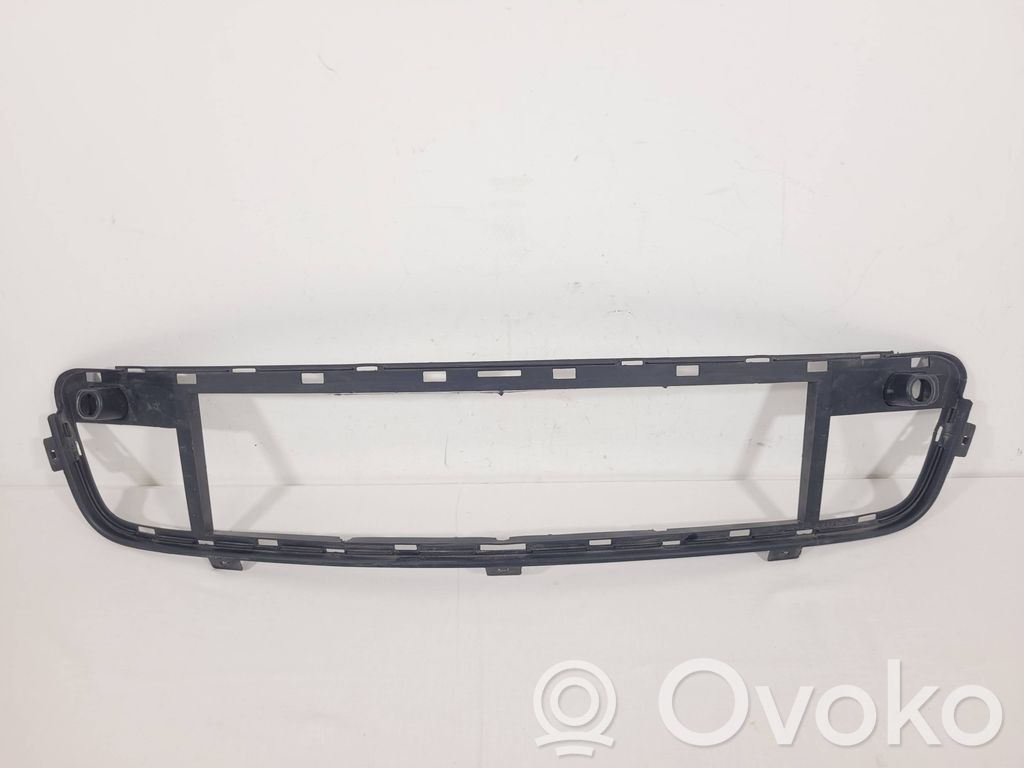 BMW X5 E70 Front bumper lower grill 