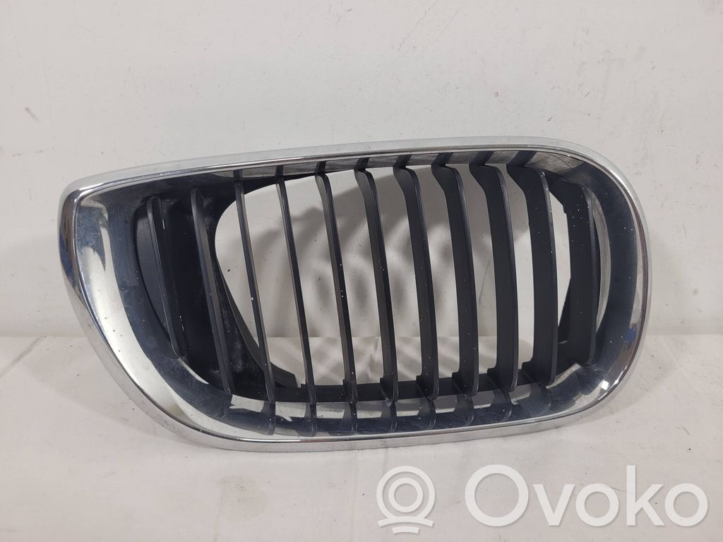 BMW 3 E46 Front grill 