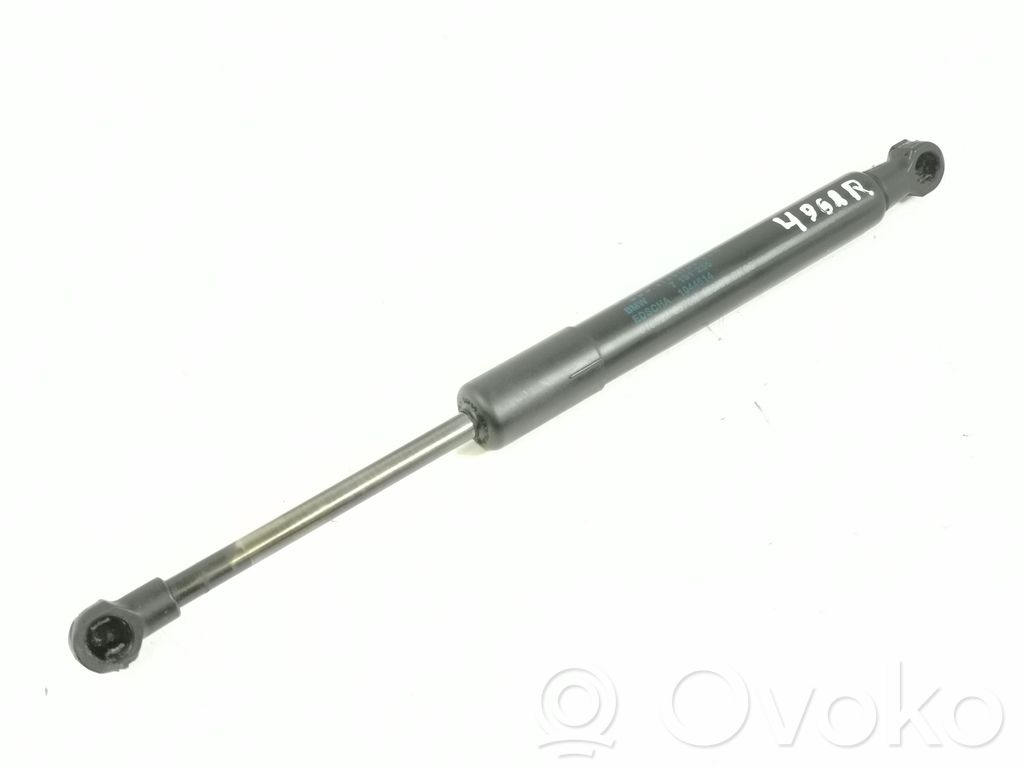 Tailgate strut   7191255,0166220570N,1044614