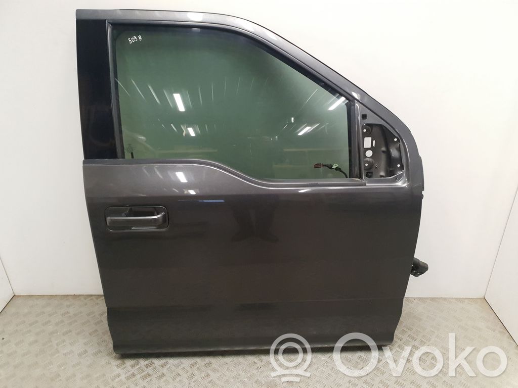 Ford F150 Drzwi przednie 