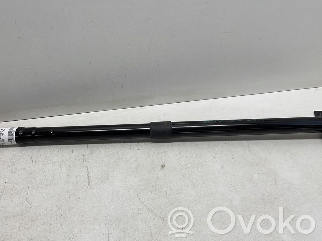 Ford C-MAX II Tailgate/trunk strut/damper 