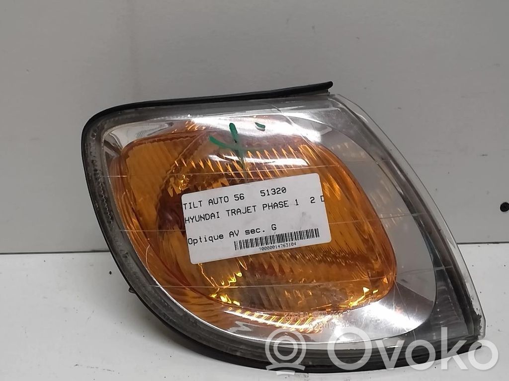 Hyundai Trajet Seitenblinker 