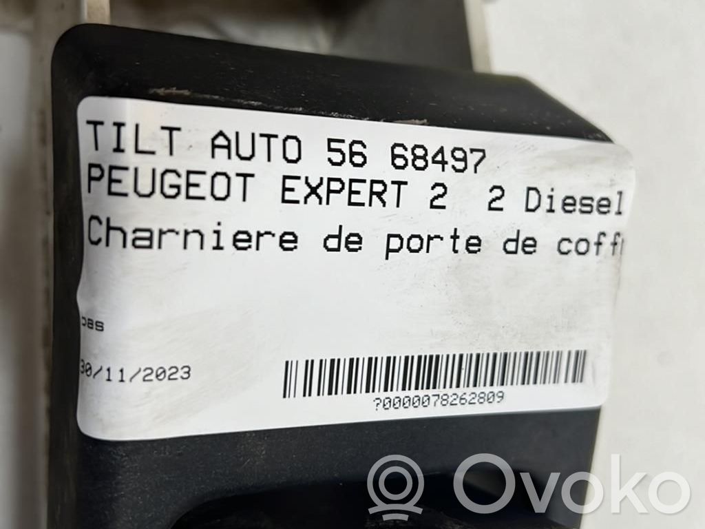 Peugeot Expert Vyris (-iai) galinio dangčio 
