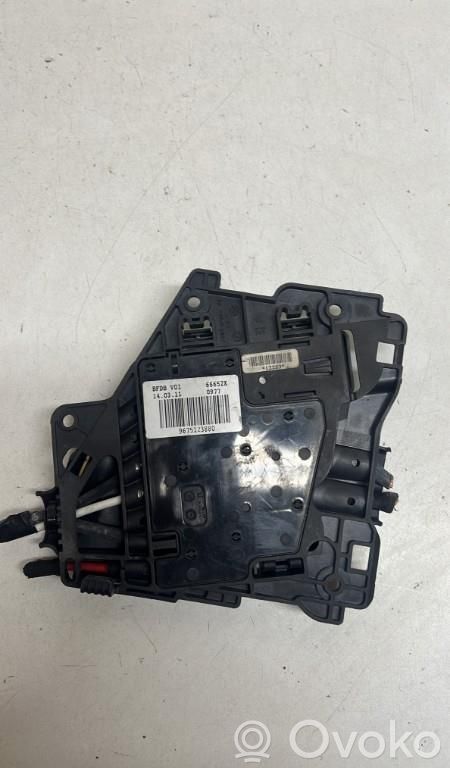 Fuse module   9675123880