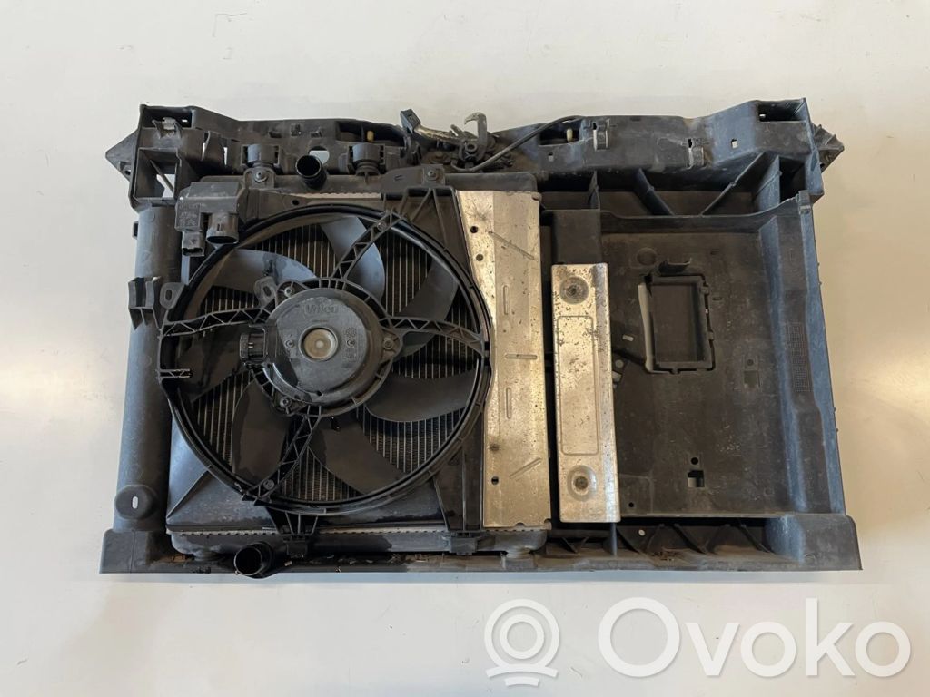 Peugeot 207 Panou suport radiator 