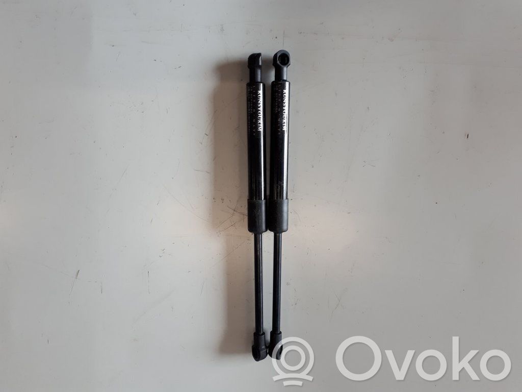 Peugeot RCZ Front bonnet/hood damper/strut 